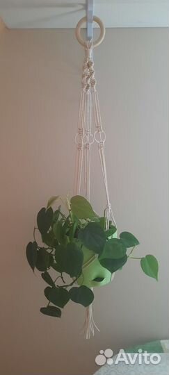 Кашпо для цветов подвесное макраме