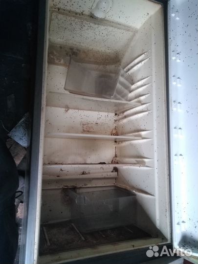 2-yx камерный холодильник Whirlpool