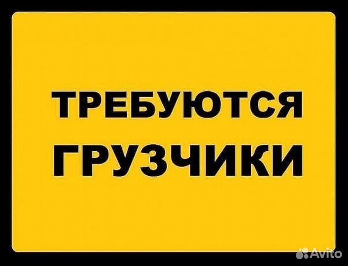 Грузчик наборщик