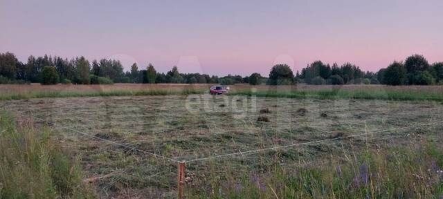 Участок 10,6 сот. (ИЖС)