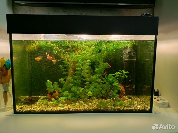 Аквариум на 150 литров