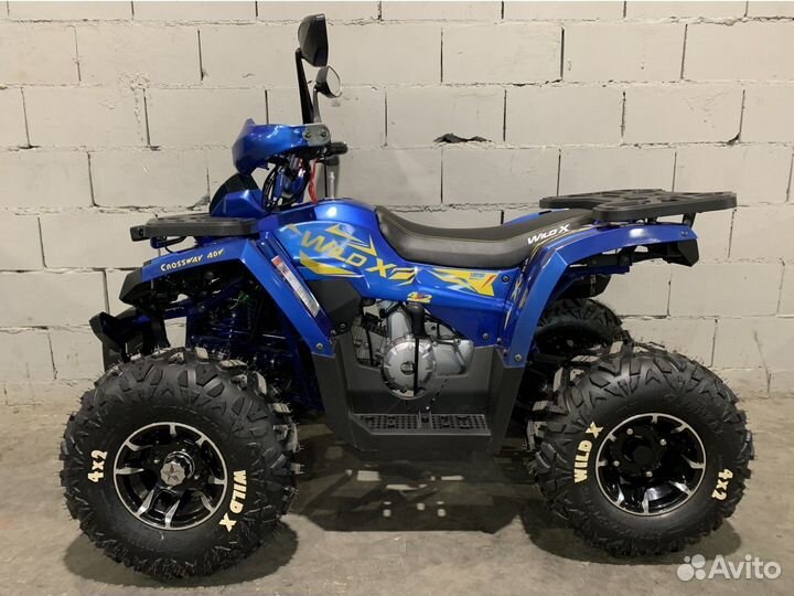 Квадроцикл 125 Motoland wild X PRO