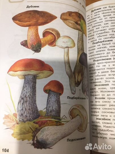 Книга для уроков по Окружающему миру