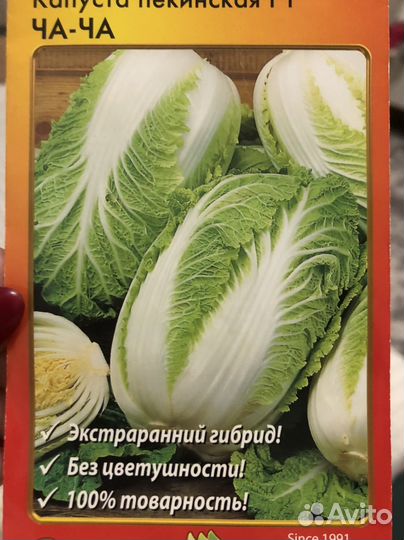 Пекинская капуста