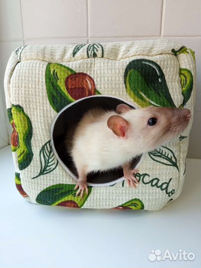 Домики и гамаки для грызунов