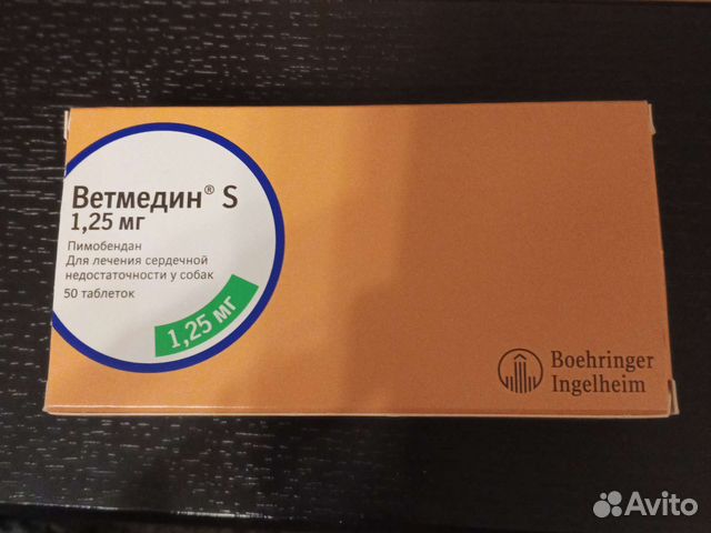 Товары для животных