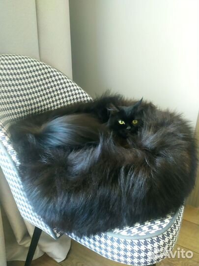 Лежанка для собак и кошек