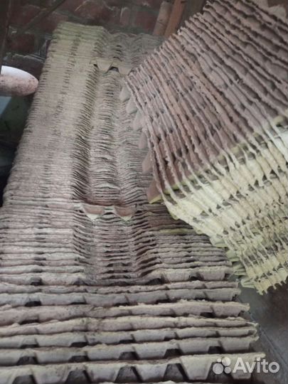 Ячейки для яиц