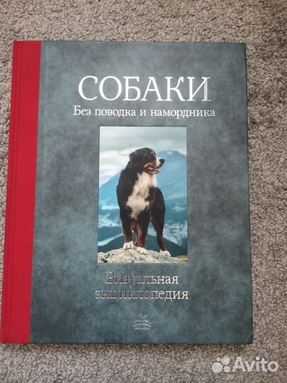 Энциклопедии для детей