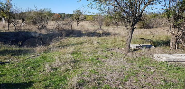 Участок 6 сот. (СНТ, ДНП)