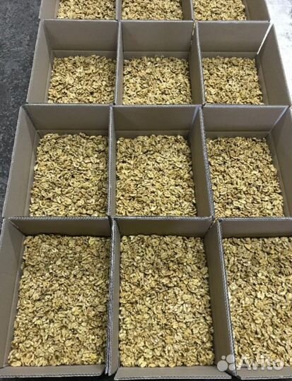 Грецкий орех