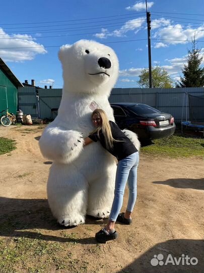 Надувные костюмы,мишка ростовая кукла,чебурашка