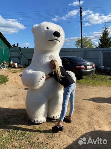 Надувные костюмы,мишка ростовая кукла,чебурашка