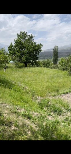 Участок 100 га (ИЖС)