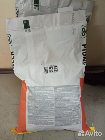 Семена подсолнечника