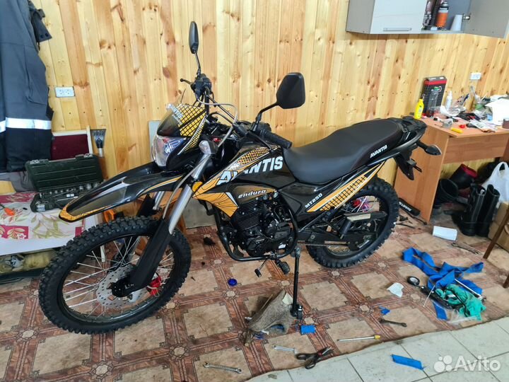 Avantis MT 250