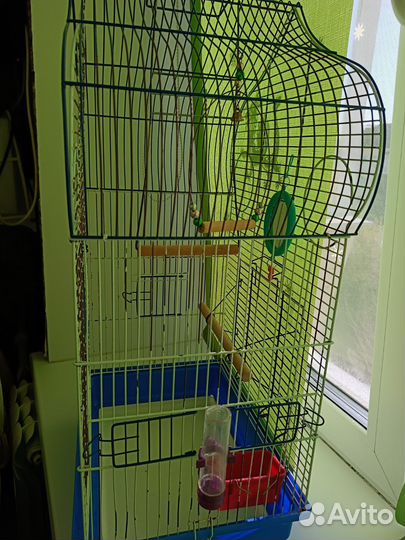 Клетка для волнистого попугая большая