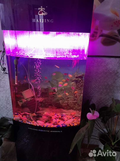 Аквариум