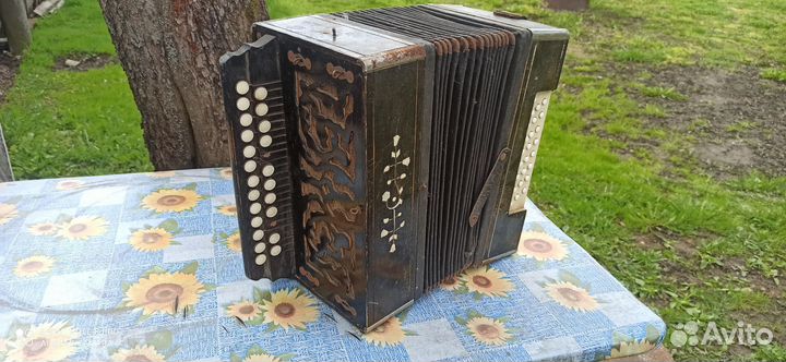 Гармонь Шуйская