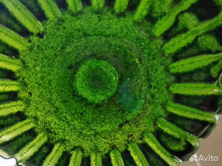 Хлорелла для озера