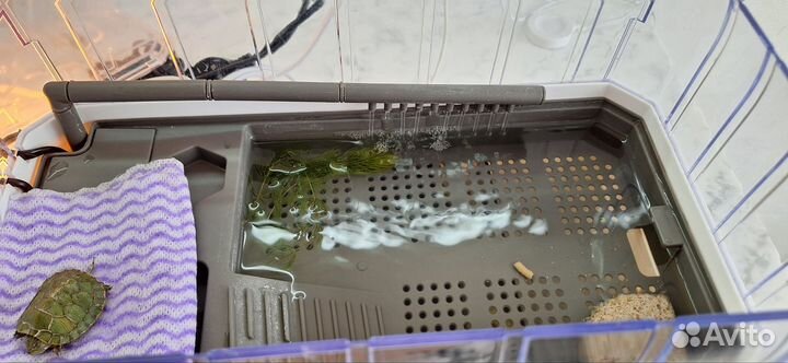 Аквариум для черепашки