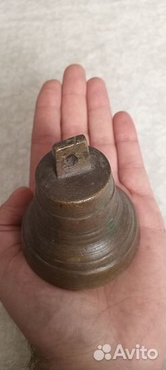 Колокольчик поддужный