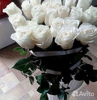 Высокие розы Гигантские розы Доставка цветов