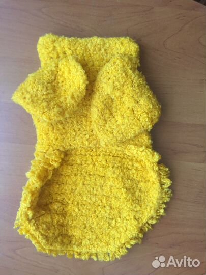 Одежда для собак