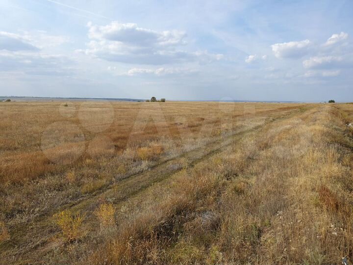 Участок 106 га (СНТ, ДНП)