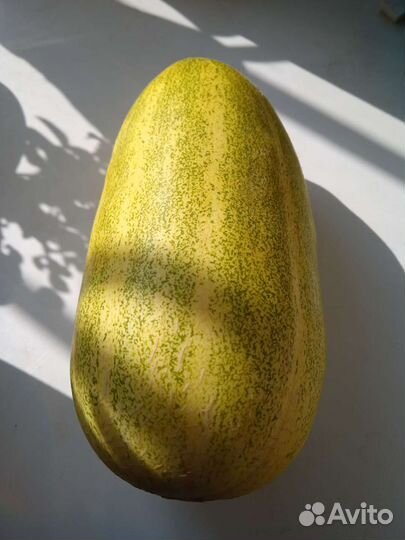 Семена перец,фасоль,дыня,сандберри,физалис