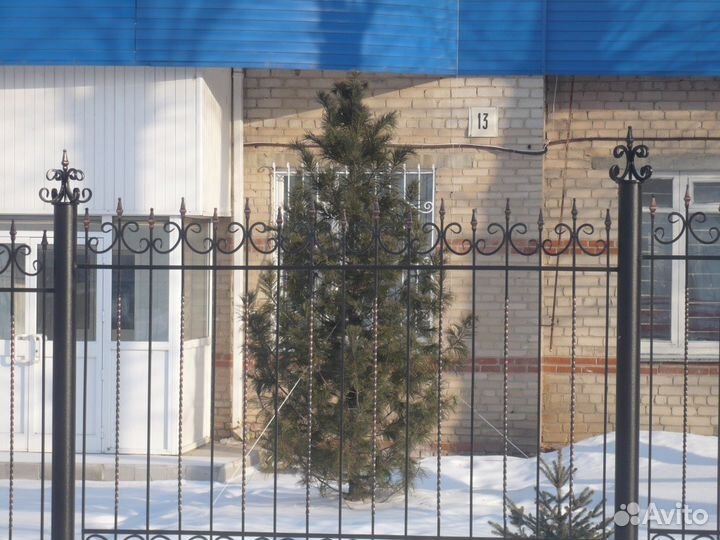 Озеленение