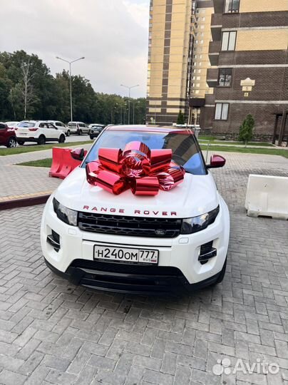 Бант подарочный,на авто, большой