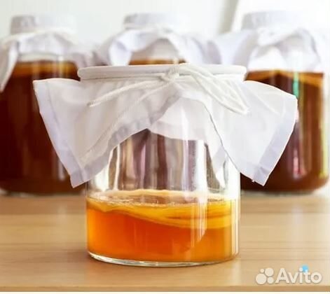 Чайный гриб (комбуча)