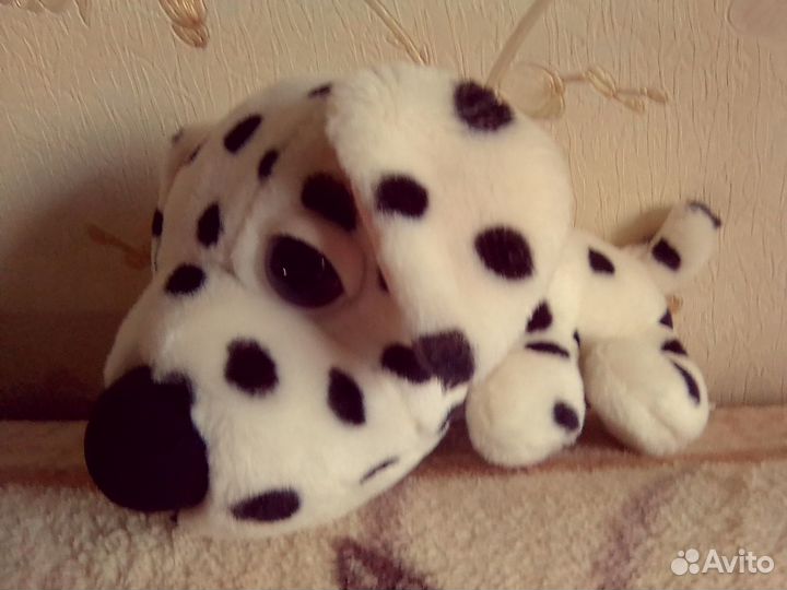 Щенки the DOG 3+