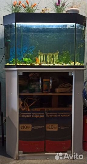 Аквариум на 100 литров