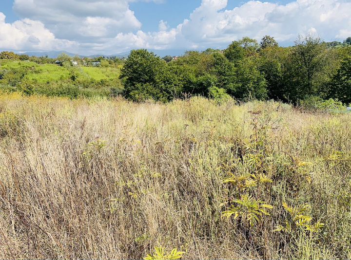 Участок 87,8 сот. (СНТ, ДНП)