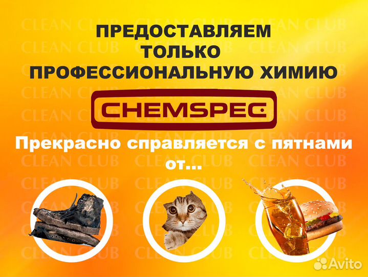 Аренда моющего пылесоса karcher