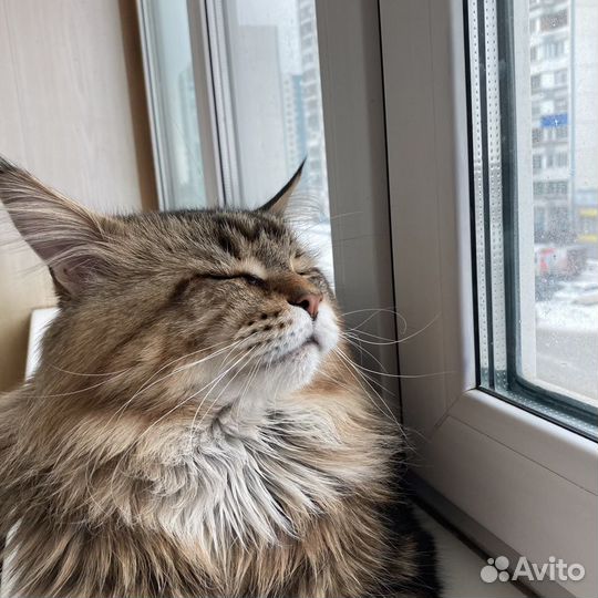 Вязка
