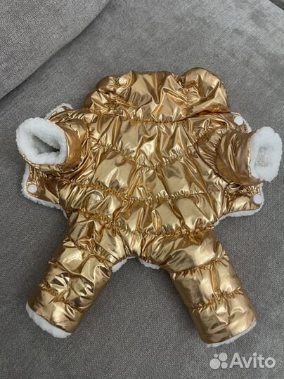 Одежда для собаки