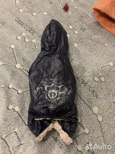 Курточка для собачки мини