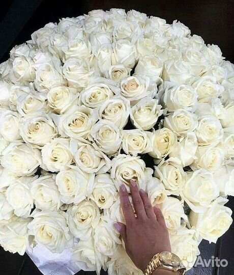 Розы Букеты Цветы Розы 31 101 151 201 Доставка