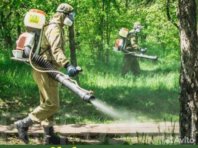 Обработка от комаров и т.д