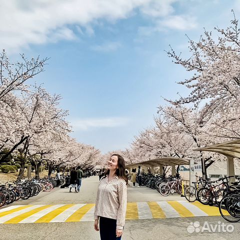 Репетитор онлайн по корейскому языку