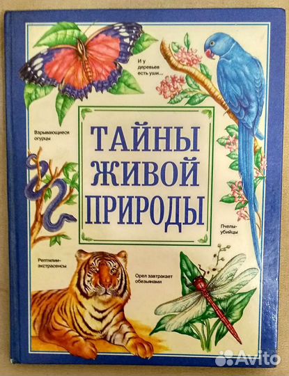 Детская энциклопедия