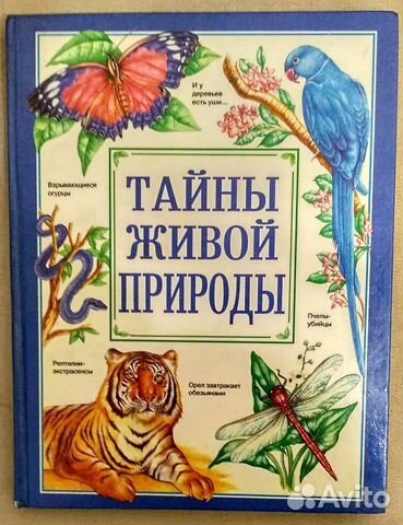 Детская энциклопедия