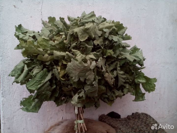 Веники для бани березовые и дубовые