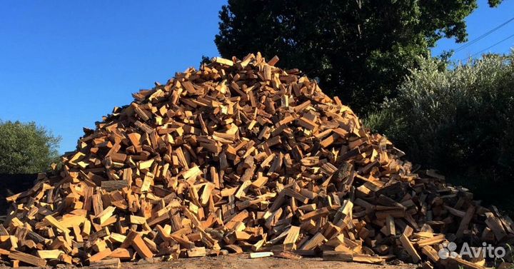 Дрова понимающих