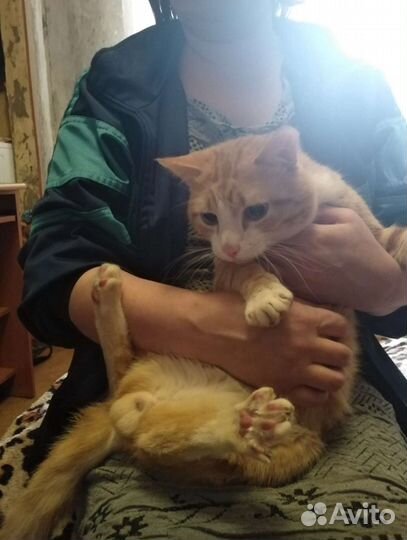 Помогите найти