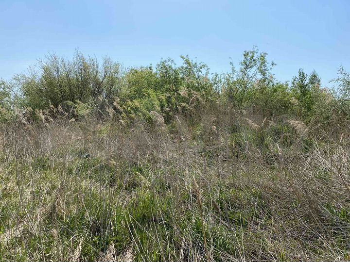 Участок 11,5 сот. (СНТ, ДНП)