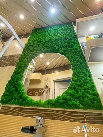 Стабилизированный мох/ озеленение